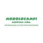Design sem nome - 2024-10-31T090931.432
